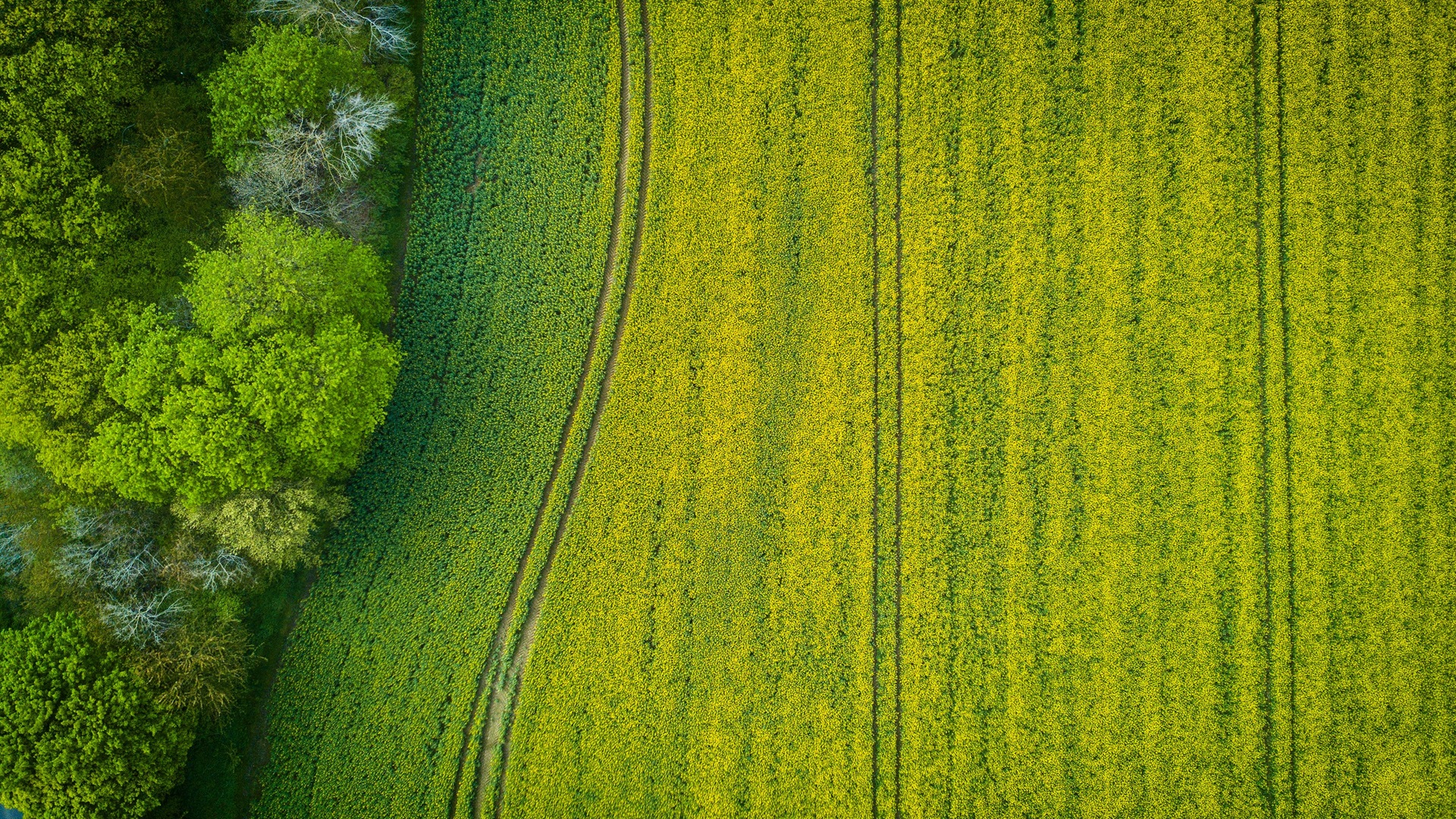 Agriculture